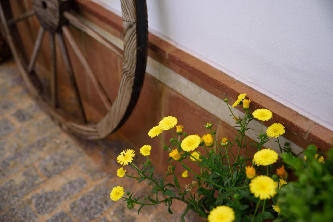 Hostal Rural Santa Habitaciones Aldea DEl Rocío Εξωτερικό φωτογραφία